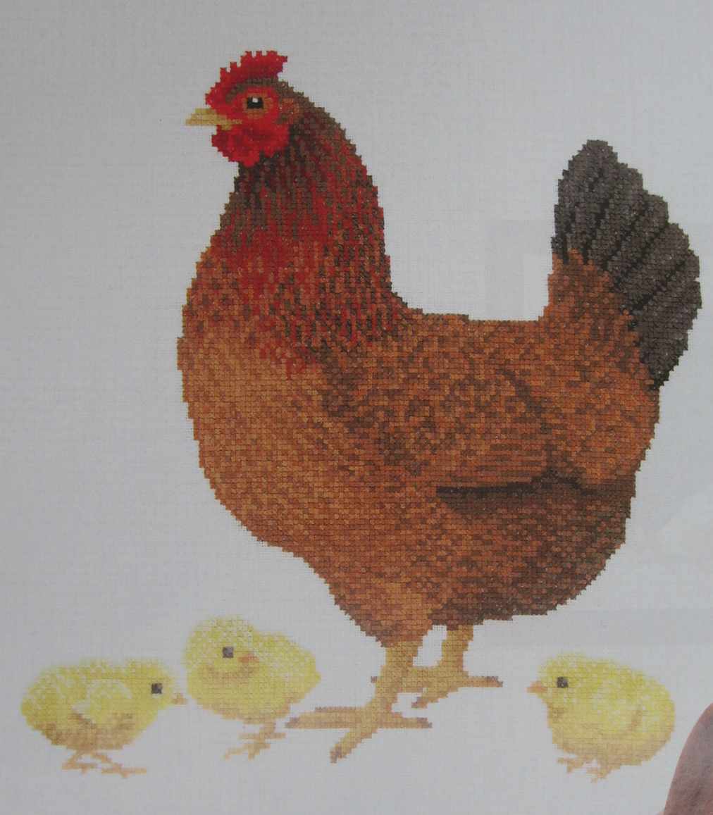 Размещенное изображение