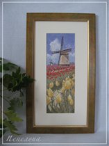 Heritage_Tulip Fields