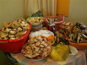 Урожай 2010