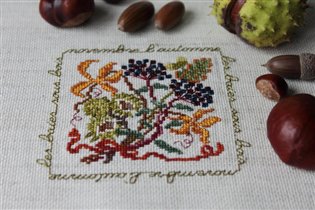 Novembre les baises Le bonheur des dames