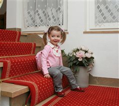 Лягушка путешественница