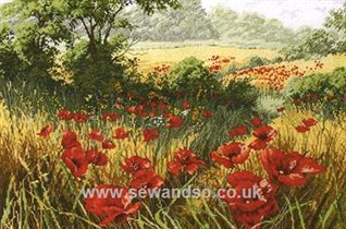 Anchor A host of poppies
