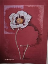 Lanarte - Contemporary Poppies