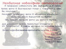 Необычная новогодняя фотосессия.