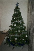 Елка 2011-2012