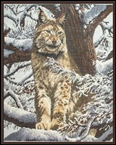 DMC - Lynx