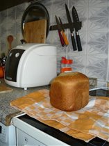 Хлебушек мой :)