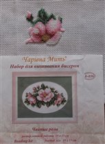 Чаривна Мить 