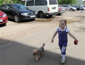 Алиса, 3 года 7 мес