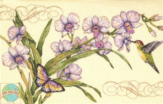 Dimentions - Orchids & Hummingbird