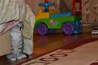 типа спрятался:)