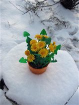 Осенняя корзинка от Виты-Life_for_smile
