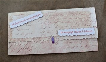 Подарочный сертификат leonidevteev.ru