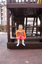 Толстовка Теско
