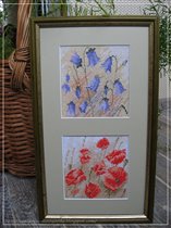 Mini Scotch Harebells&Mini Wild Poppies