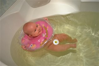 наши заплывы