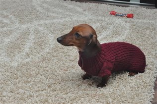 прикид