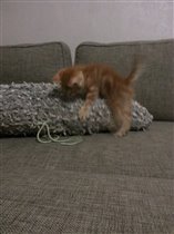 Я приехал в новый дом