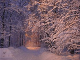 февр 2013