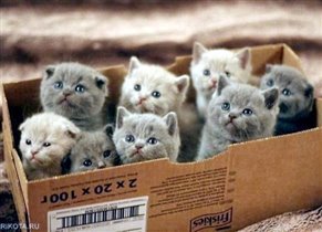 Коробка антидепрессантов...