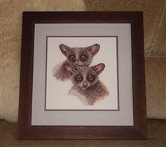 Heritage WHBE 689 Bright Eyes 