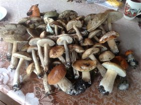 1 сентября 2013