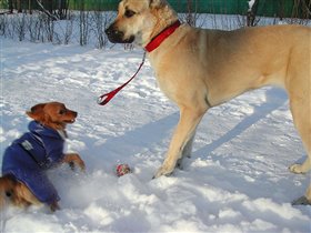 Филимон