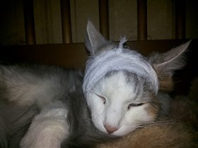 Шаня болеет