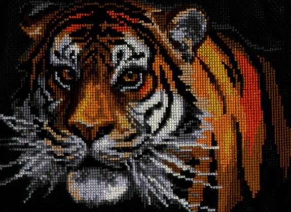 Тигр. Работы