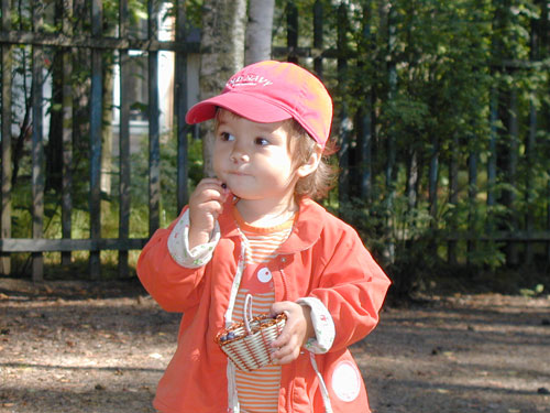 Собрала ягодки.. Лето 2003