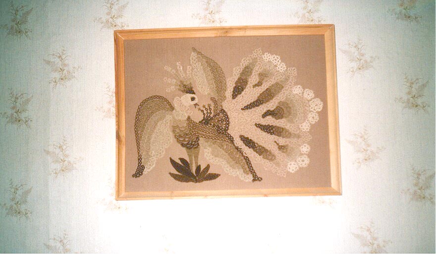 птица. хочу показать