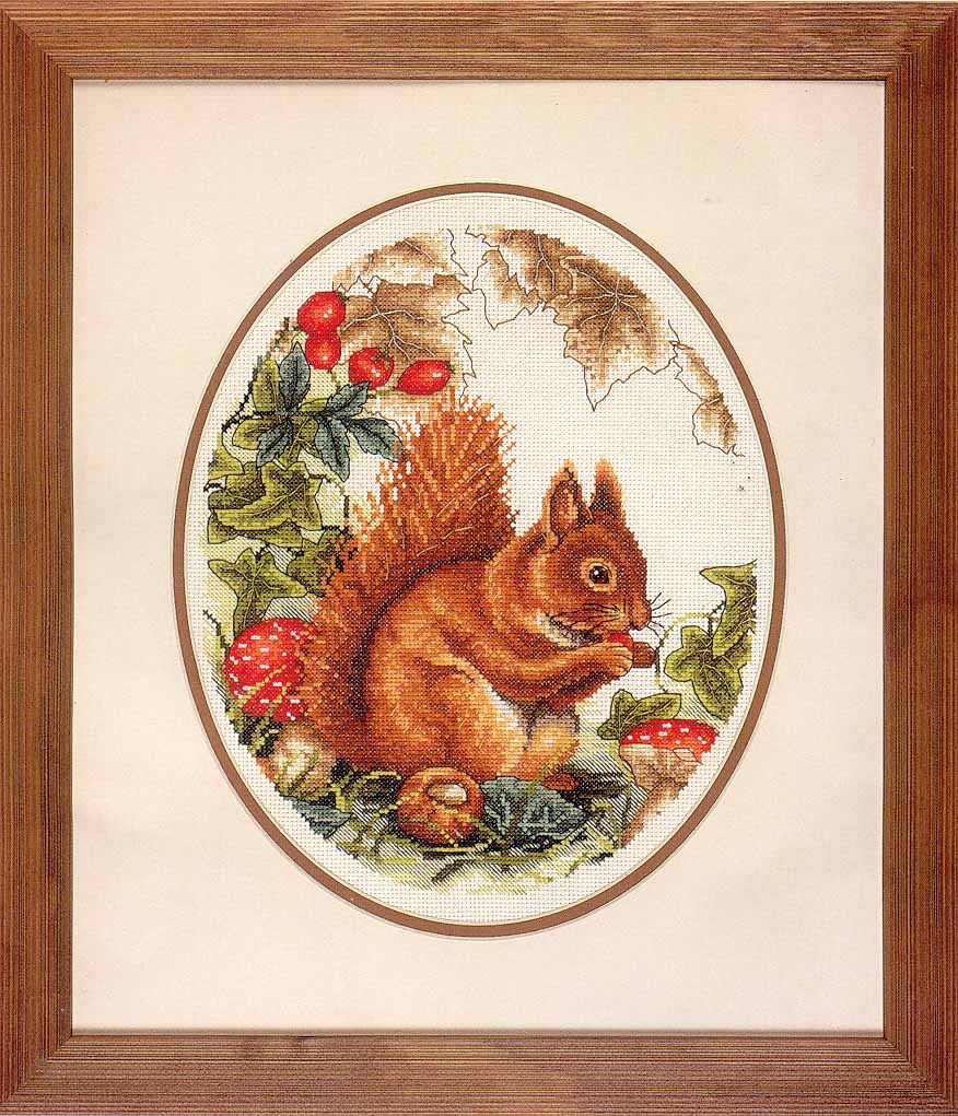 Белочки схема вышивки. Панна белка. Вышивка крестом Панна белка. Вышивка белка Squirrel. Вышивка крестом Бельчонок.