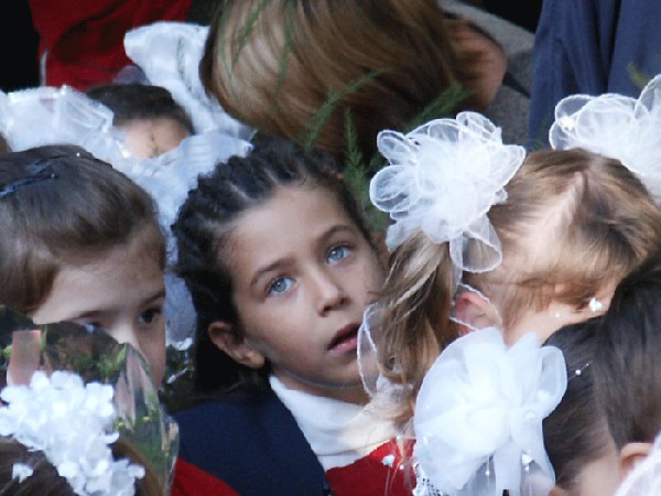 белые банты и суматоха. первый класс