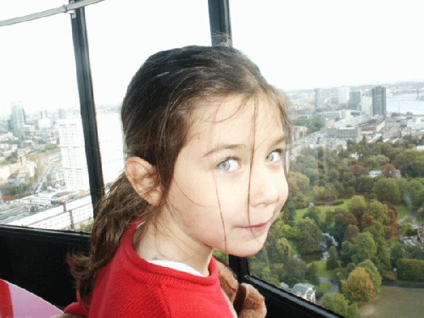 роттердам-вью. голландия