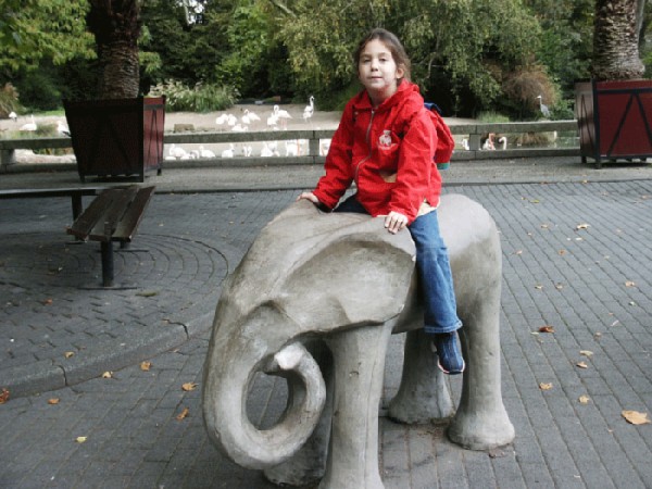 в зоопарке. голландия