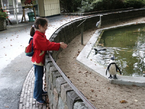 они друг другу понравились. голландия