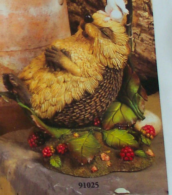 Taking Advantage. Мои Ежики (My hedgies)