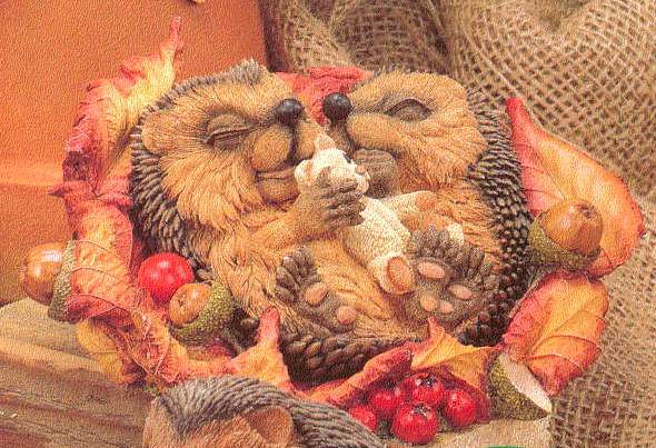 Sweet Dreams. Мои Ежики (My hedgies)