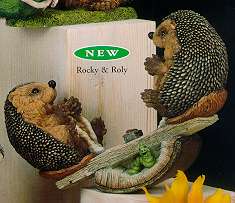 Rocky and Roly. Мои Ежики (My hedgies)