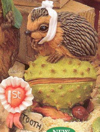 First Tooth. Мои Ежики (My hedgies)