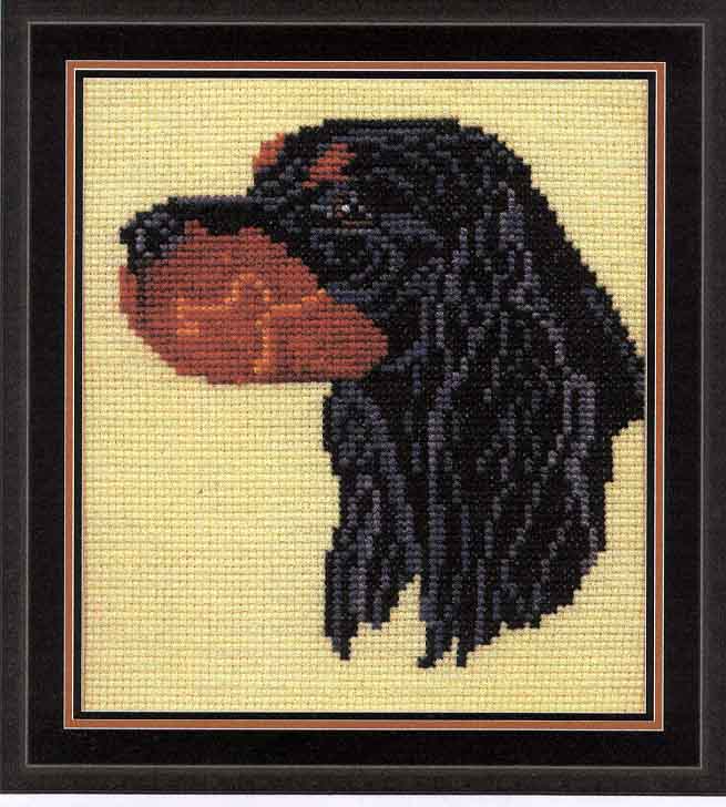 gordon setter