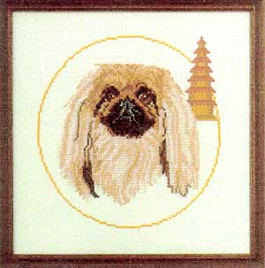pekingese