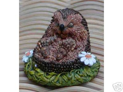 Мои Ежики (My hedgies)