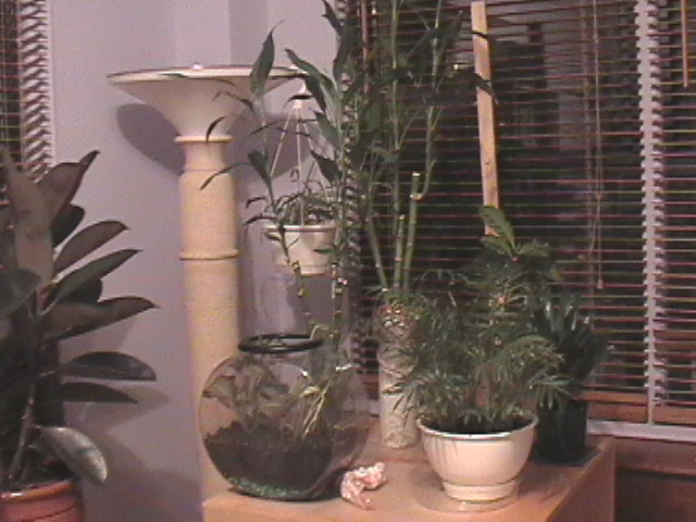 Новая папка