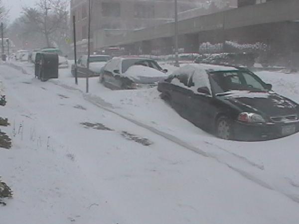 Закопаны, закопаны . Зима в НьюЙорке