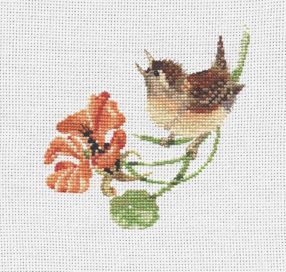 Simply Wren. Мои работы (My works)