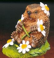 Мои Ежики (My hedgies)