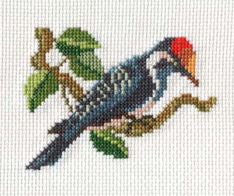 Дятел. Юрины работы