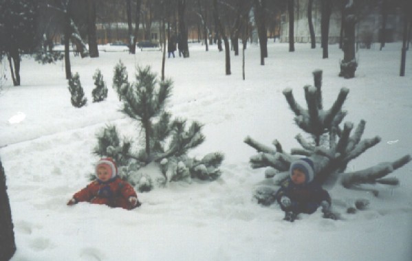 Зайчики под елочками. Фотки с удаленных рег