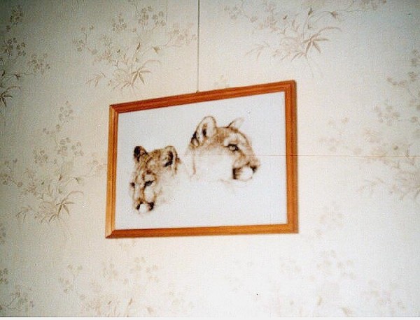 львицы. МОИ РАБОТЫ